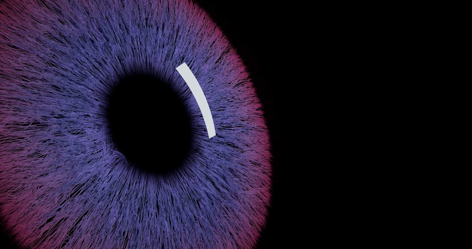 Close-up of a purple iris with a black pupil.